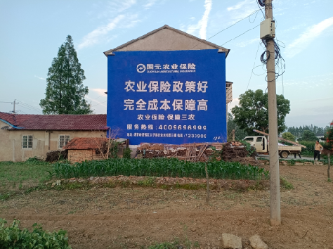 宁乡墙体广告的优劣势你知道吗?