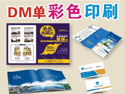 宁乡单页印刷,色彩搭配简单。